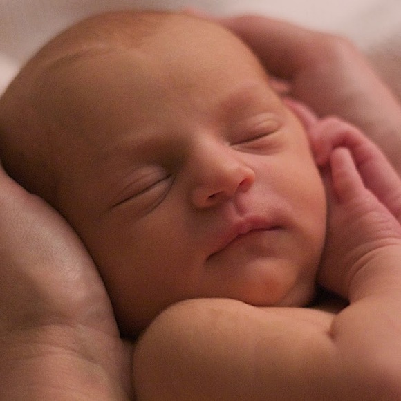 Meet your Posher, Suzanne - Picture 1 of 1